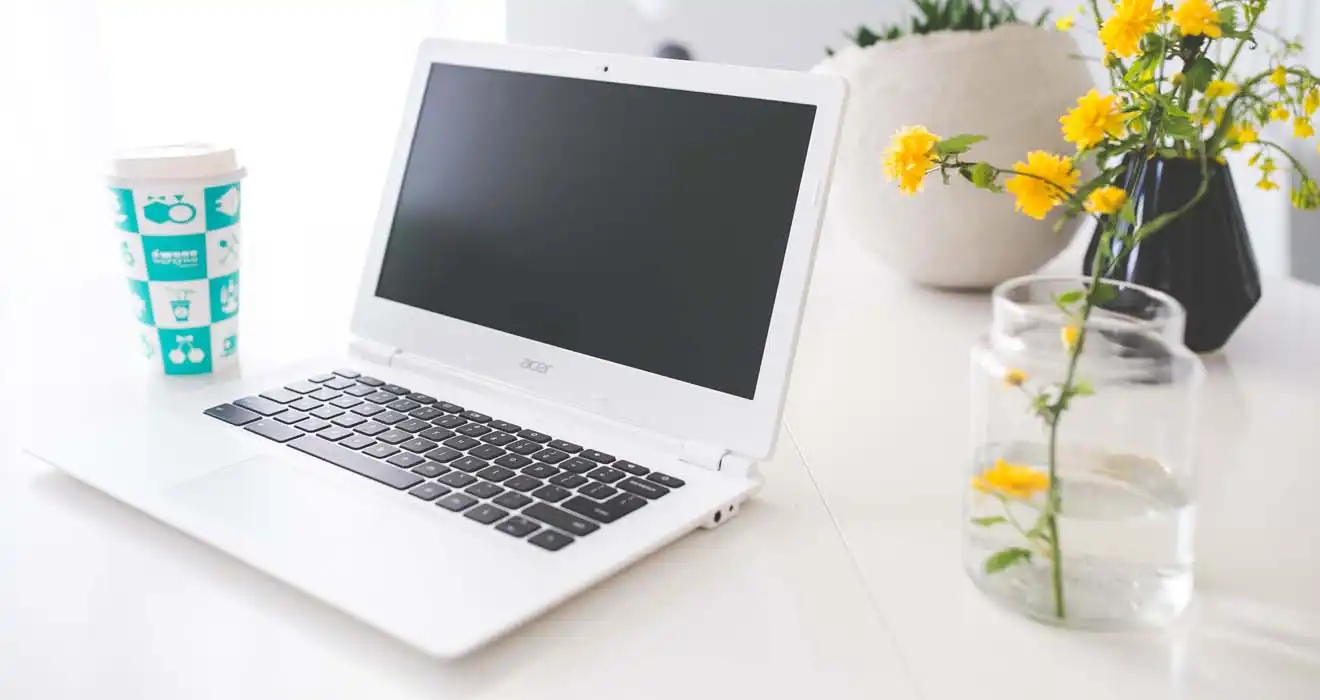 Ремонт ноутбуков Acer в Серпухове